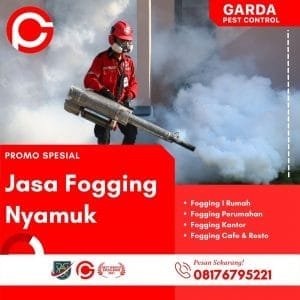 Biaya Fogging 1 rt Cirebon