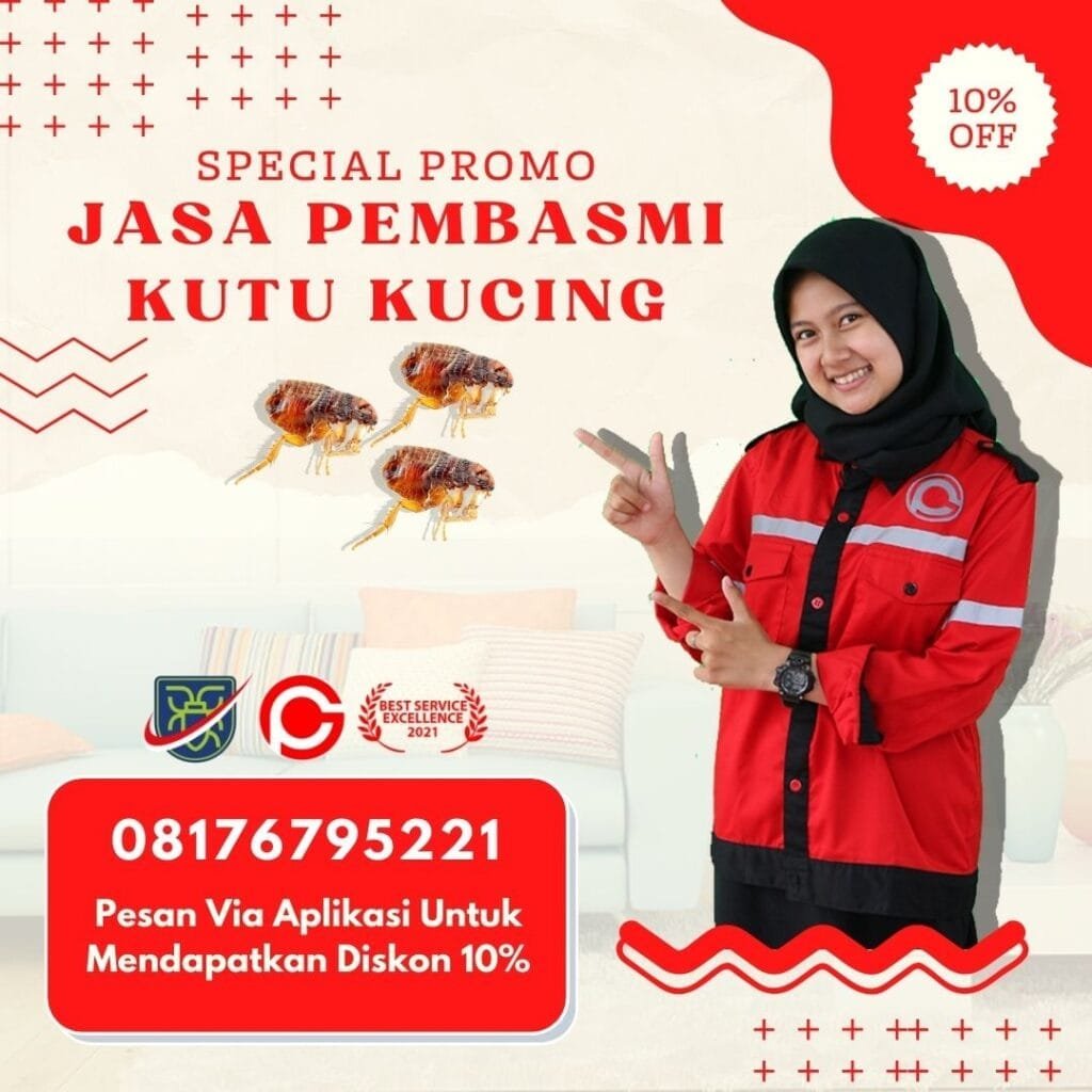 Jasa Pembasmi Kutu Pinjal Bandung