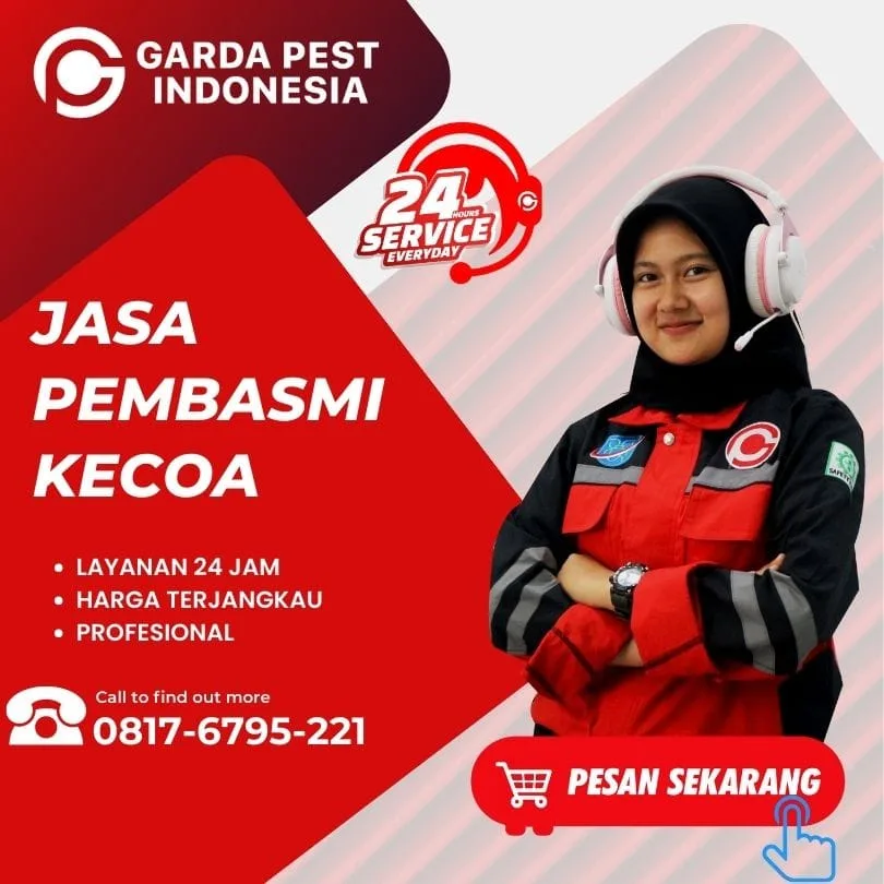 Jasa Penyemprotan Kecoa di Jogja