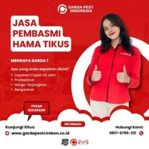 Jasa Pembasmi Tikus Rumah Cirebon
