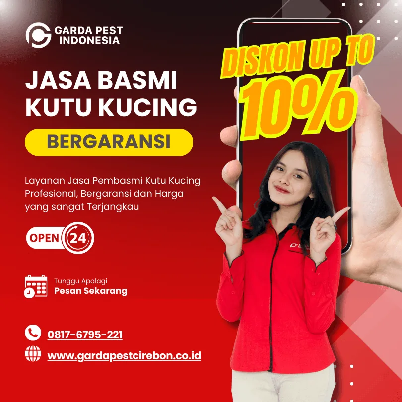 Jasa Penyemprotan Kutu Kucing di Jakarta