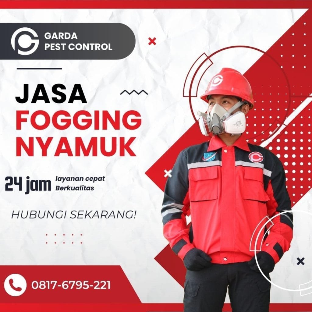 Jasa Fogging Nyamuk Cirebon Profesional dan Aman