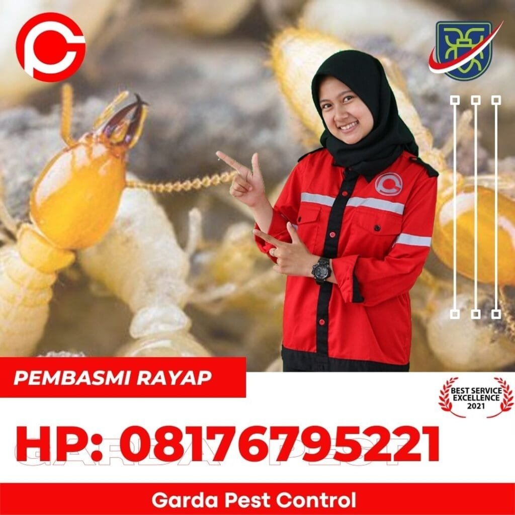 Jasa Anti Rayap di Majalengka