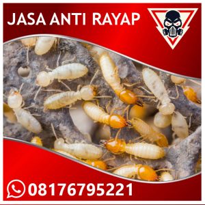  Harga Jasa Anti Rayap di Kesambi Cirebon