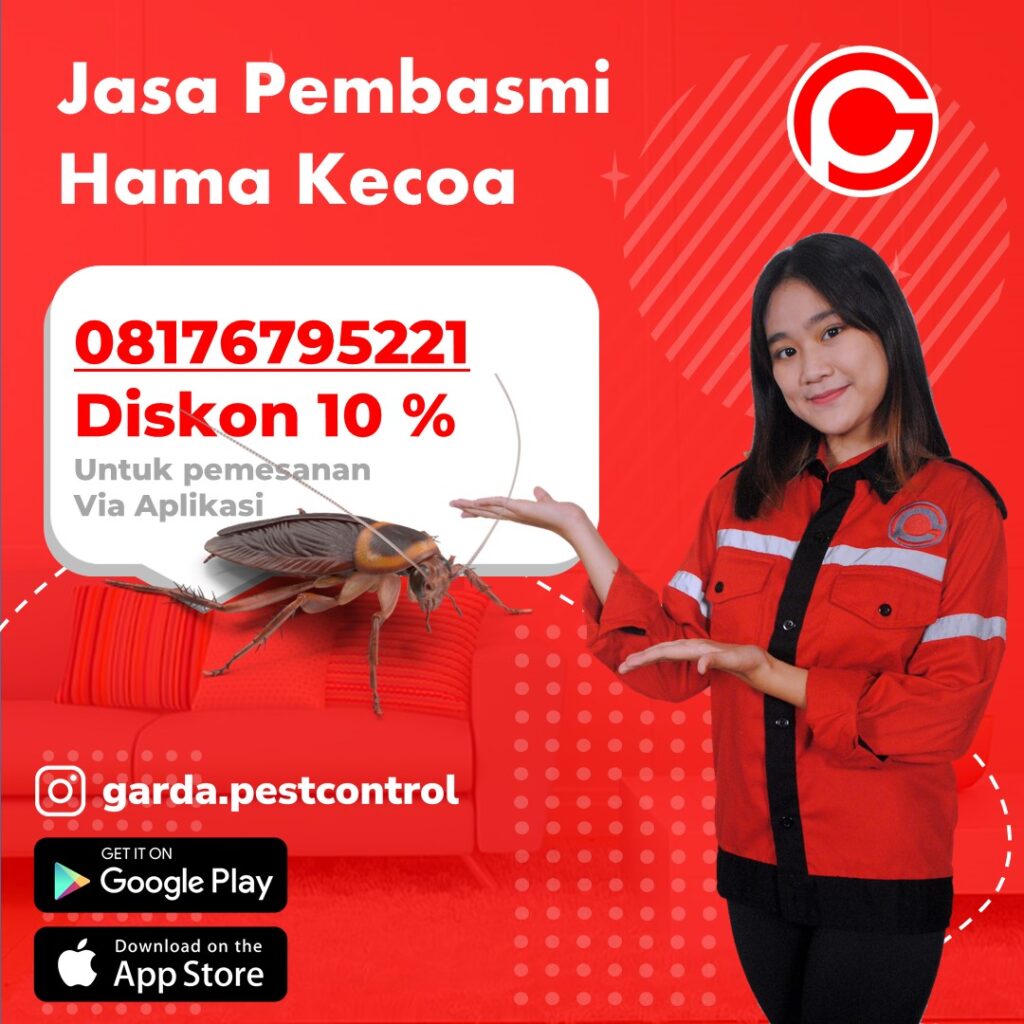 Jasa Pembasmi Kecoa Bandung