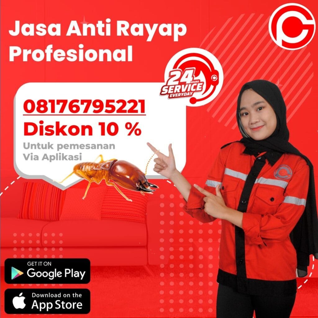 Jasa Anti Rayap Murah di Cirebon