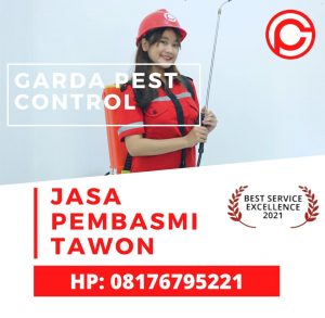 Jasa Pembasmi Tawon di Bandung