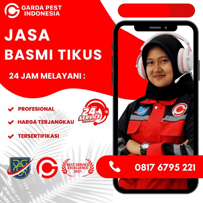 Basmi Tikus di Hulubanteng Cirebon