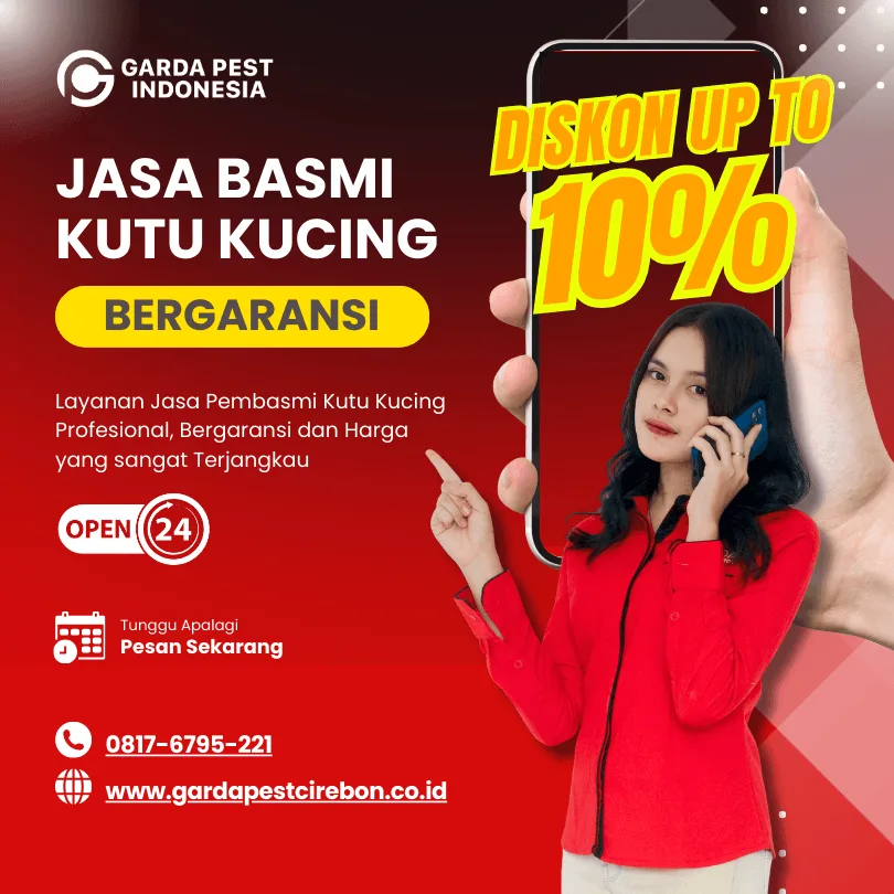 Jasa Pembasmi Kutu Kasur Jakarta