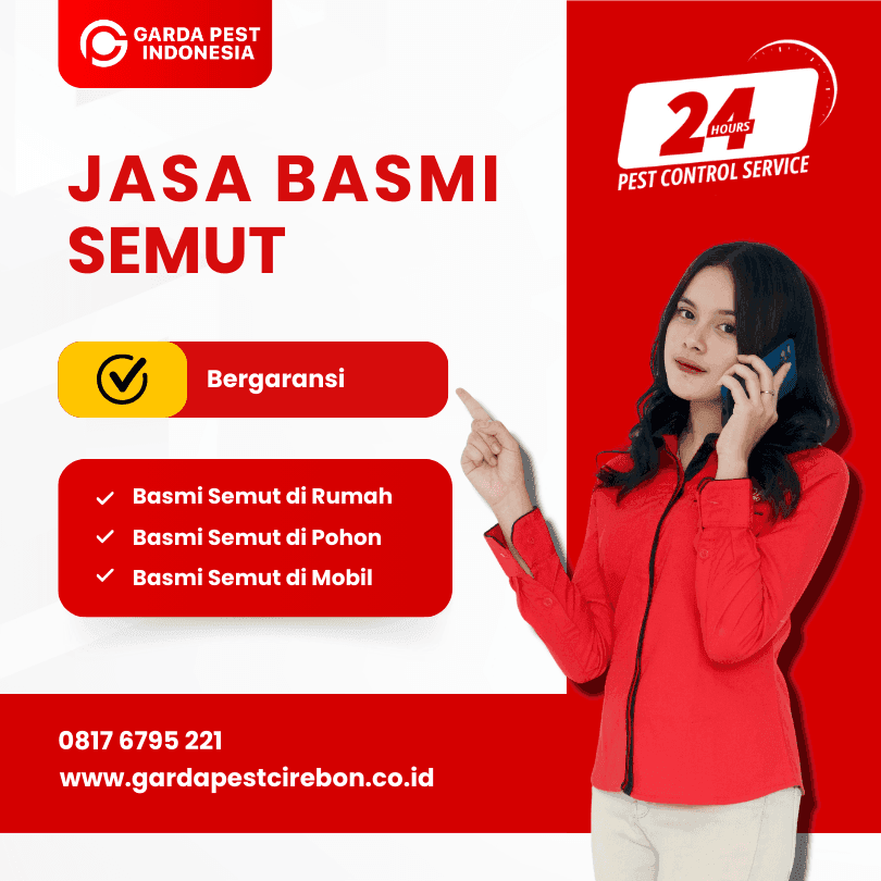 Jasa Pembasmi Semut Berkualitas