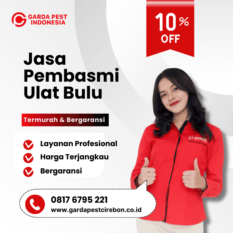 Jasa Pembasmi Ulat Bulu Cirebon