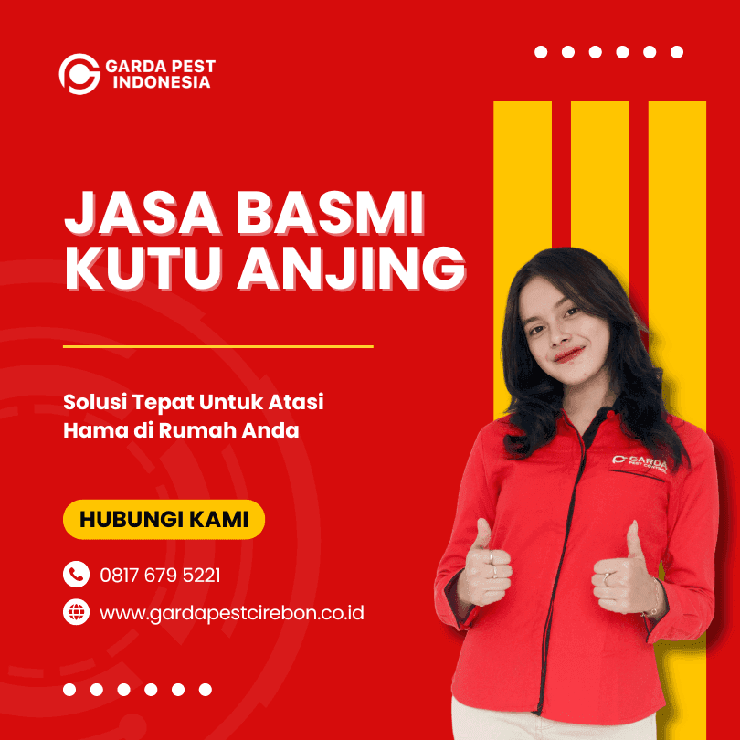Jasa Pembasmi kutu di Sidoarjo