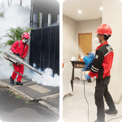 Jasa Fogging Nyamuk di Cirebon Kualitas Premium