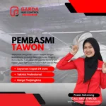 Jasa Pembasmi Tawon dan Lebah di Cirebon