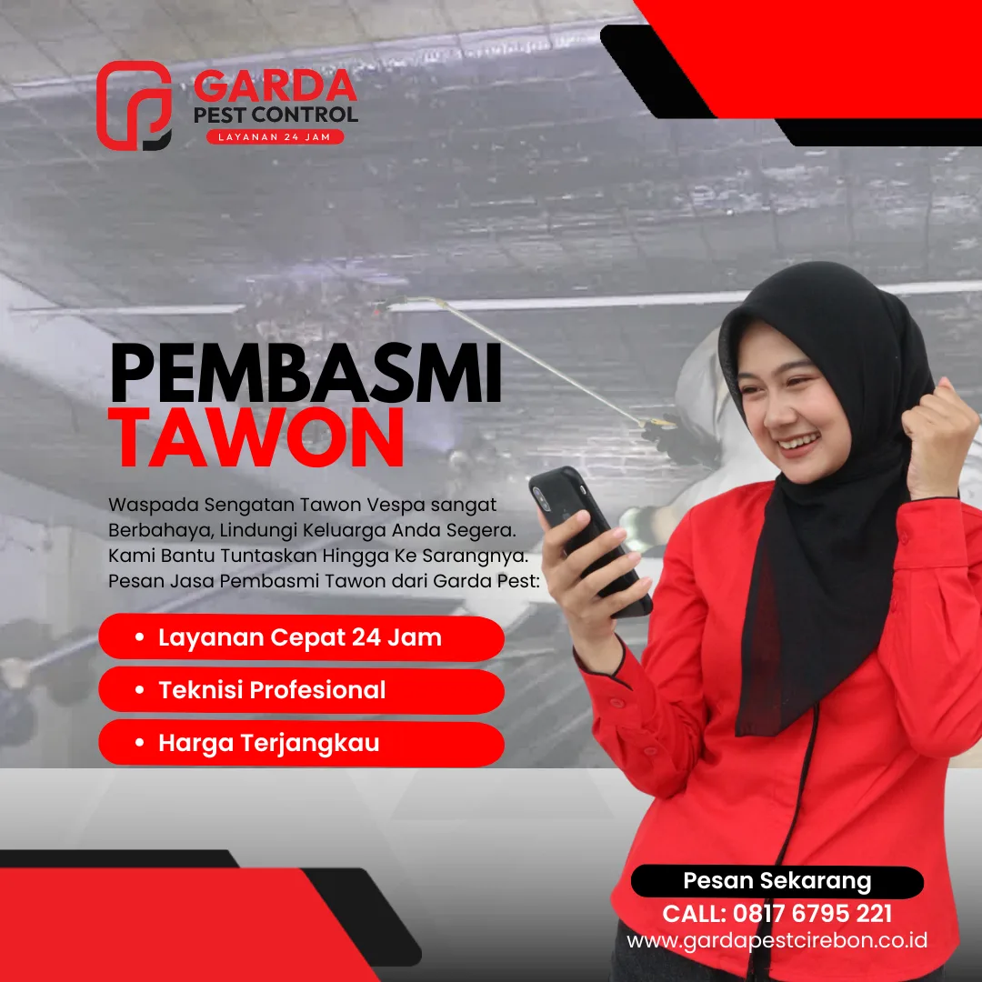 Jasa Pembasmi Sarang Tawon