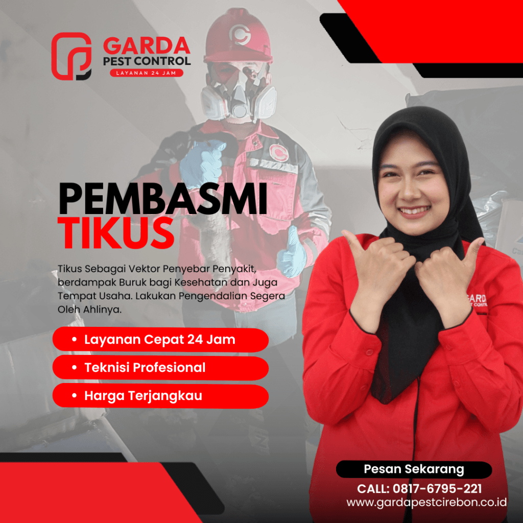Jasa Pembasmi Tikus di Hajarmukti Cirebon dan Sekiratnya