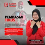 Jasa Pembasmi Tikus di Cirebon Profesional dan Cepat