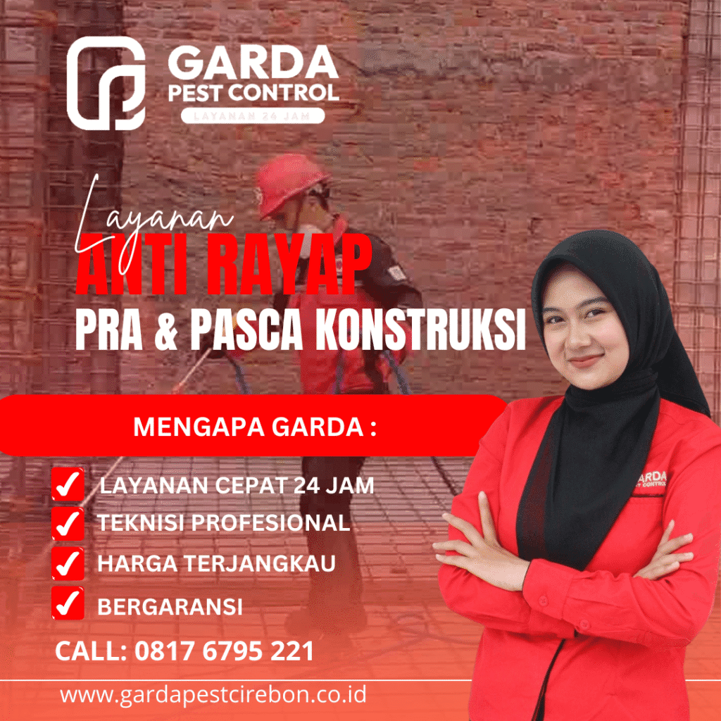 Jasa Anti Rayap di Cirebon Murah dan Bergaransi 5 Tahun