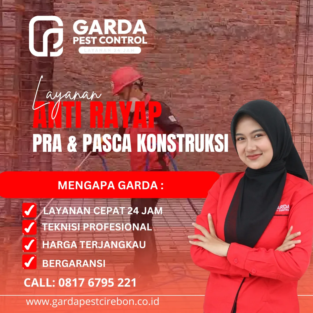 Jasa Pembasmi Rayap di Cirebon