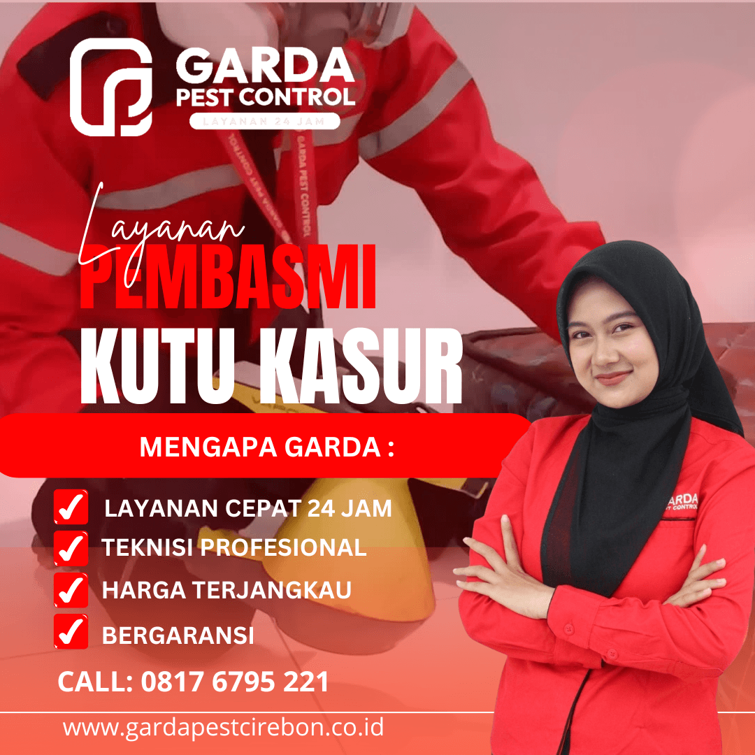 Jasa Pembasmi Kutu Kasur Malang