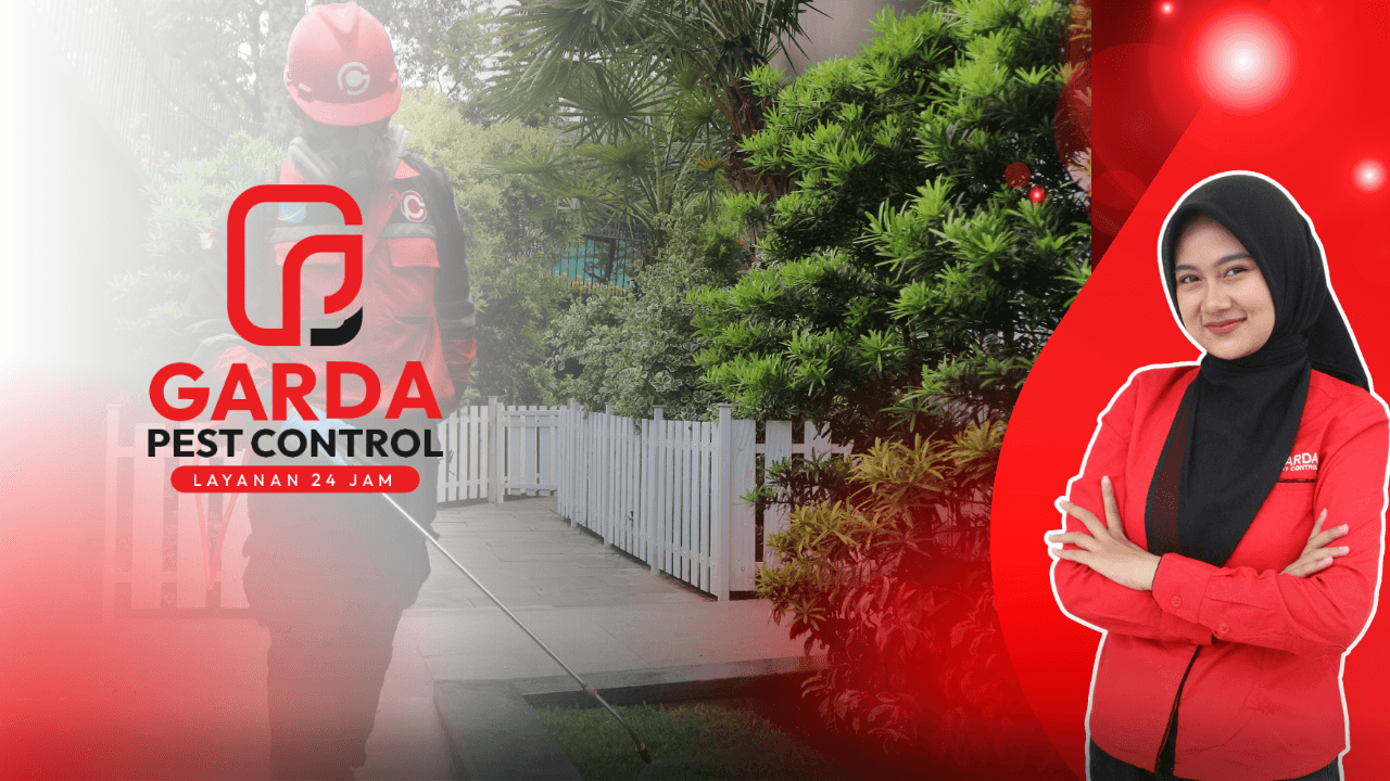 Jasa Pembasmi Lalat di Cirebon Profesional Berkualitas