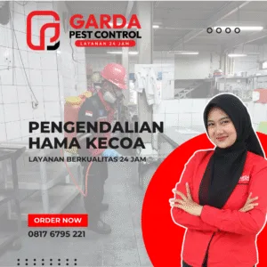 Jasa Pembasmi Kecoa Bandung Terkemuka dan Murah