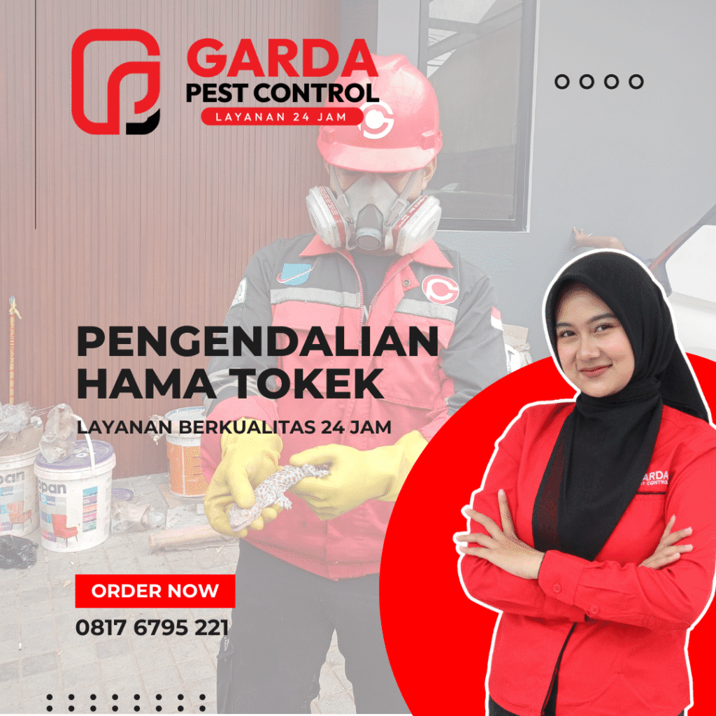 Jasa Pembasmi Tokek di Cirebon No.1 Termurah 2026