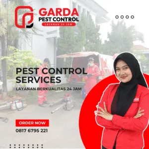 Jasa Pest Control Terdekat