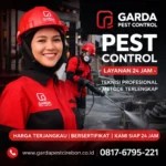 Solusi Pest Control Cirebon Layanan Terlengkap