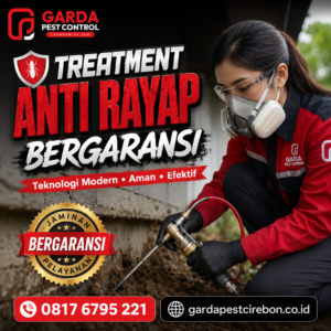 Layanan Jasa Anti Rayap Sumber Cirebon