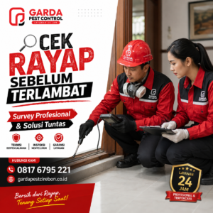 Jasa Anti Rayap Cirebon Paling Banyak Dipesan