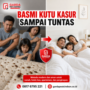 Jasa Pembasmi Kutu Kasur di Cirebon Solusi Handal