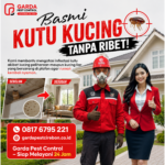 Jasa Pembasmi Kutu Kucing di Cirebon