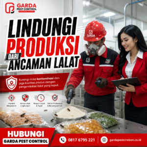 Jasa Pembasmi Lalat Cirebon