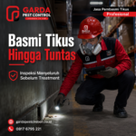 Jasa Pengendalian Hama Tikus Gudang dan Pabrik Cirebon untuk Fasilitas Industri